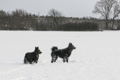 29. 12. 2014